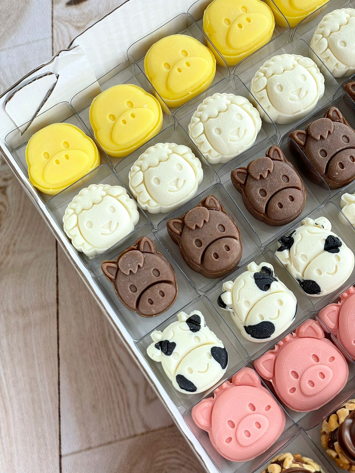 WhatsApp Image 2025-12-31 at 16.47.49 (2)