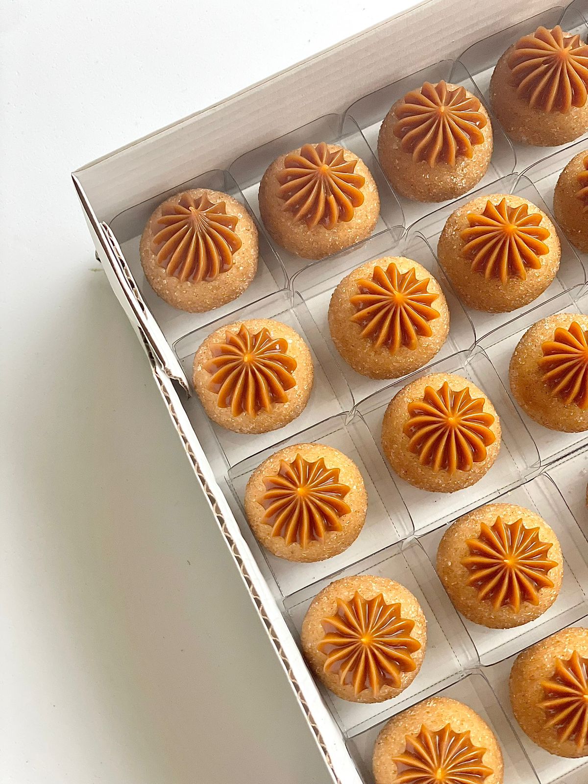 WhatsApp Image 2025-12-31 at 16.47.50 (2)